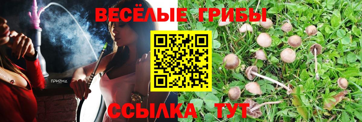 Чистополь  Галлюциногенные грибы ЛСД  закладки  Вход с VPN 